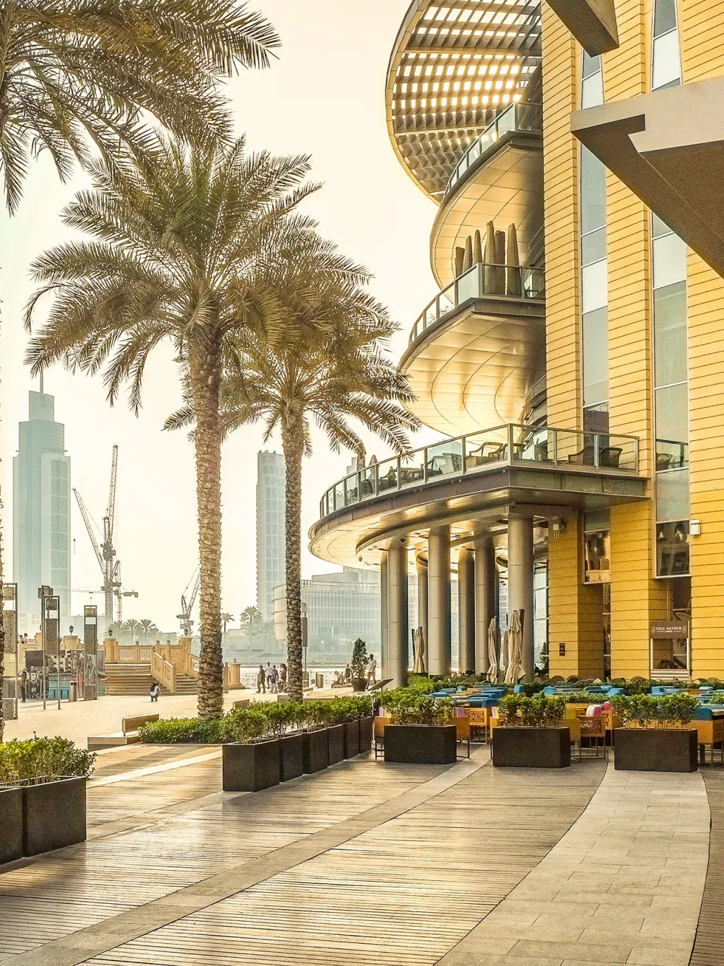Dubai office. Pavement view of a modern building near magestic palm trees.